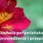 Kuchnia polska wprowadzenie i przepisy